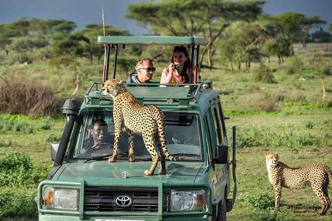 Day Trip to Tarangire - Pricing Details