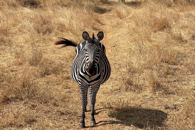 Day Trip to Tarangire National Park. - Bird Watching Opportunities
