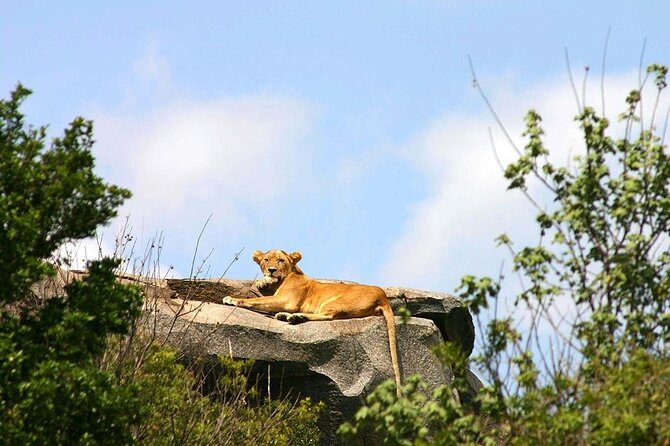 Day Trip to Tarangire National Park With Pick up - Directions and Important Reminders