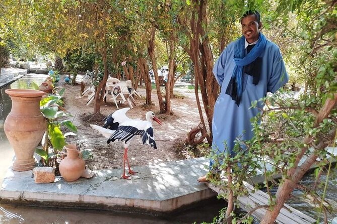 Day Trip to Taroudant and Tiout Oasis With Lunch From Agadir - Return to Agadir