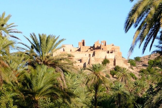 Day Trip to Taroudant and Tiout Oasis With Lunch From Agadir - Frequently Asked Questions