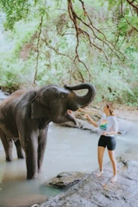 Day trip to Temple of Elephants. With guide small groups - Who Will Love This Tour?