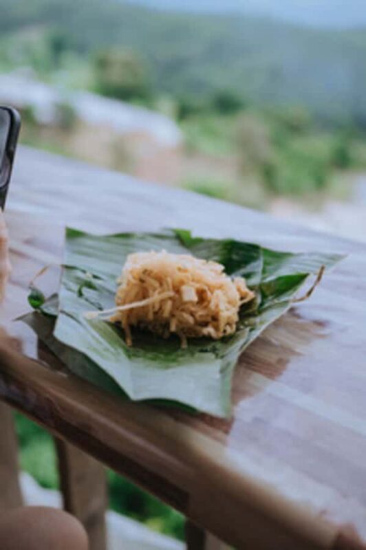 Day trip to Temple of Elephants. With guide small groups - FAQ