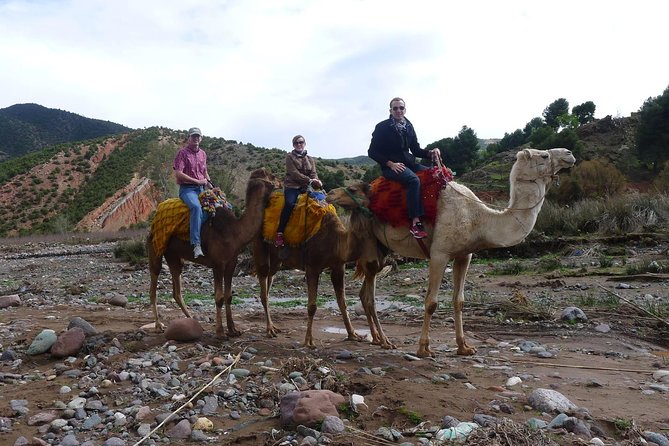 Day Trip to the Atlas Mountains and Berber Villages From Marrakech, - Tour Highlights