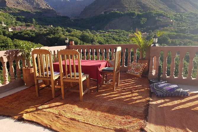Day Trip To The Atlas Mountains & Camel Ride - Reviews and Ratings