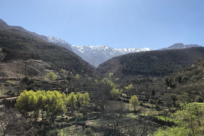 Day Trip to the Atlas Mountains (Ourika Valley & Waterfall) From Marrakech - Weather and Changes Policy