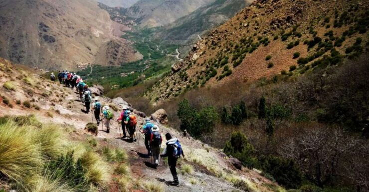 Day Trip to the Berber Villages and Camel Ride - Experience Highlights