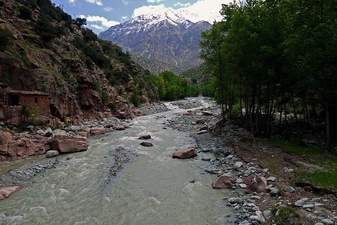 Day Trip to the High Atlas and Ourika Valley: Private - What To Expect