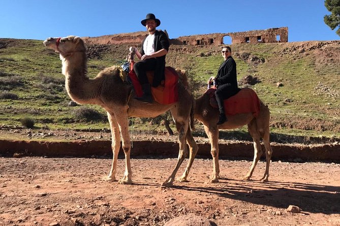 Day Trip to the High Atlas & Camel Ride - Itinerary Overview