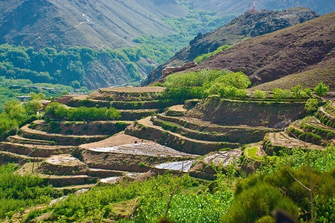 Day Trip to the High Atlas Mountains Asni Imlil Lunch With Locals - Reviews and Ratings