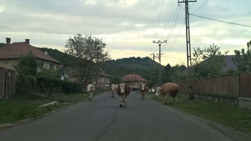 Day Trip to the Land of Hidden Caves - Good To Know