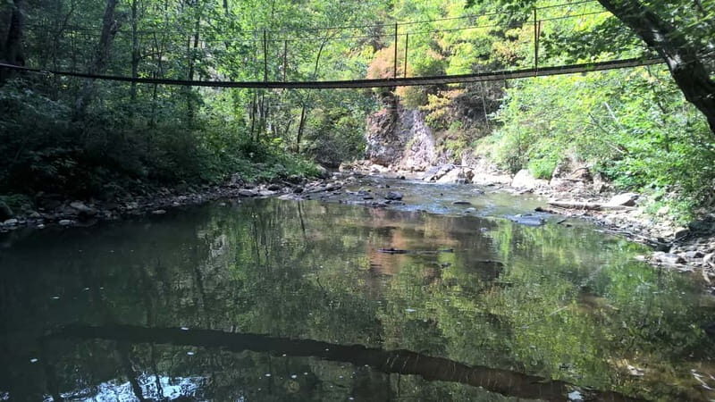 Day Trip to the Land of Hidden Caves - Comparing Similar Experiences