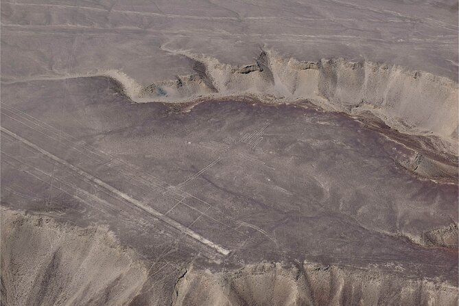 Day Trip to the Nazca Lines & Huacachina From Lima - The Nazca Lines: Ancient Art in the Desert