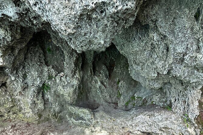 Day trip to the Plitvice Lakes incl. admission and lunch - Final Thoughts