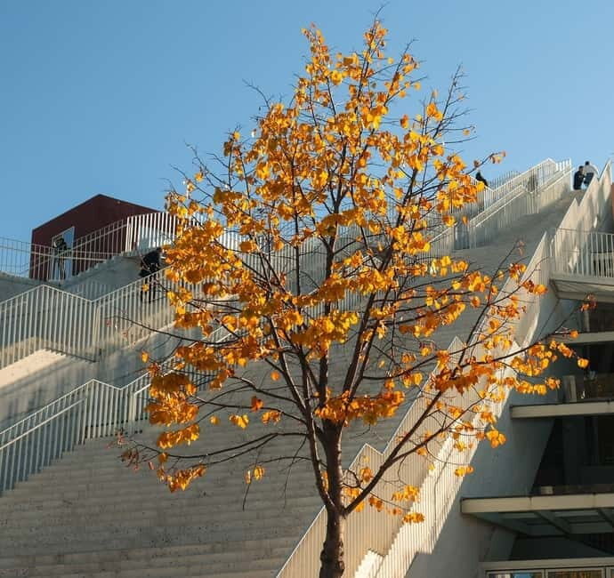 Day trip to Tirana & Kruja - What Travelers Say: Authentic Insights from Reviews