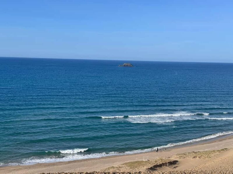 Day Trip to Tottori from Osaka: Dunes, Sake & Scenic Views - Exploring Tottoris Historic Streets