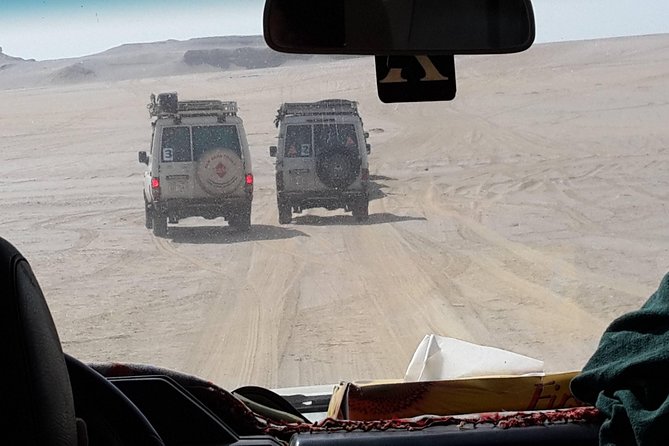Day Trip to Valley of Whales From Cairo - Wadi El Hitan - Trip Highlights