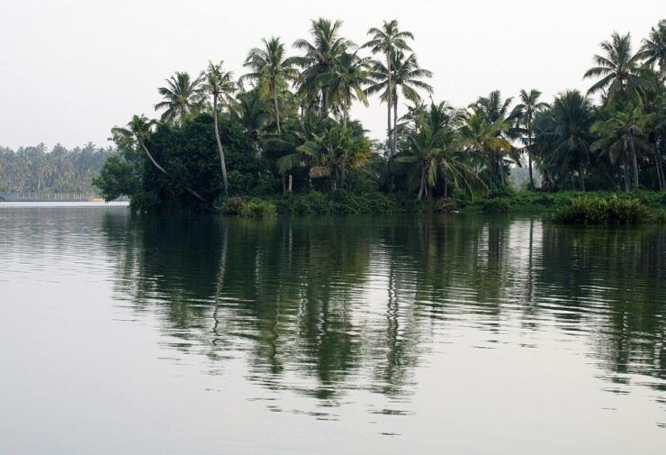 Day Trip to Varkala From Trivandrum (Guided Full Day Tour) - Good To Know