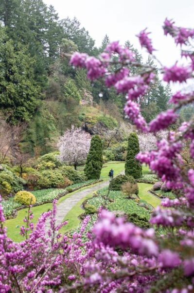 Day Trip to Victoria and Butchart Gardens From Vancouver - Frequently Asked Questions