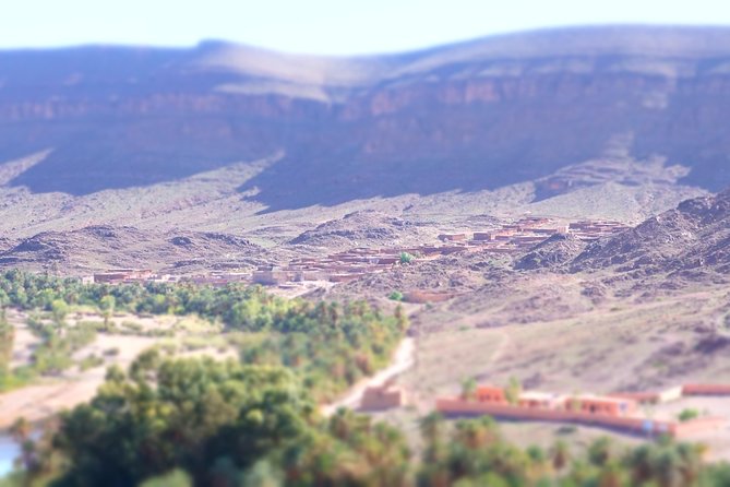Day Trip to Visit Ouarzazate - Local Cuisine and Dining Options