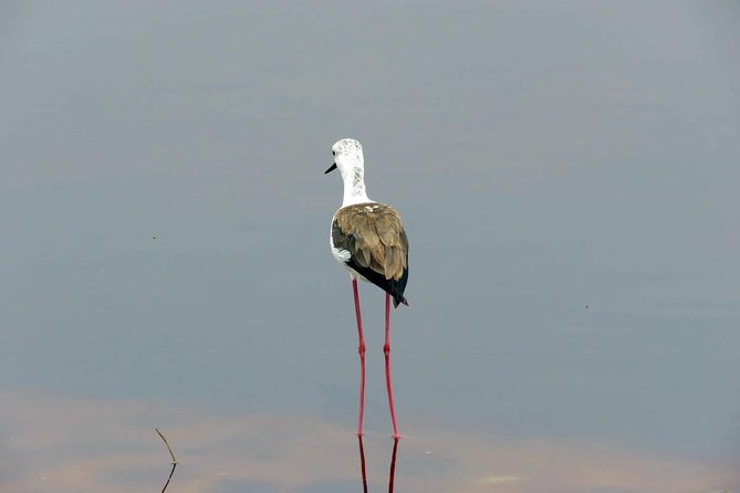 Day Trip Tour to Arusha National Park - Customer Reviews
