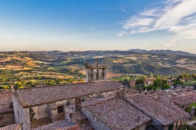 Day Trip: Vinyard Tour By Horse & Carriage+ Lunch + Montefalco And Todi Pr.tour - Good To Know