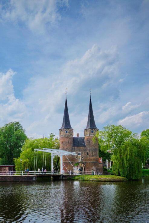 Day Trip With Turkish Guide: Rotterdam, Delft, & the Hague - Good To Know