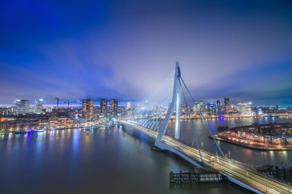 Day Trip With Turkish Guide: Rotterdam, Delft, & the Hague - Health and Safety Protocols