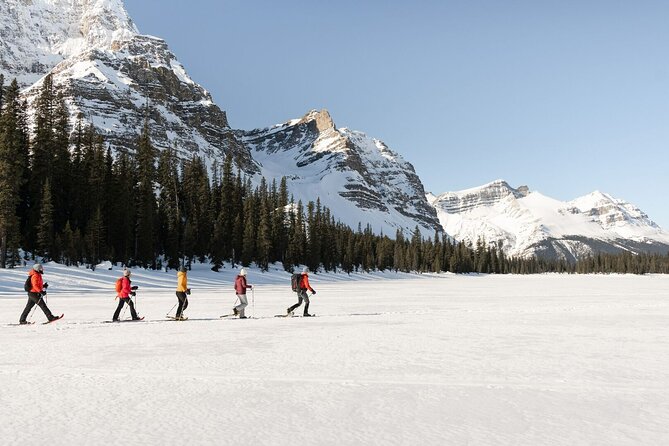 [Day Trip]Adventure in Lake Louise, Johnston Canyon & Banff Town - Trip Details