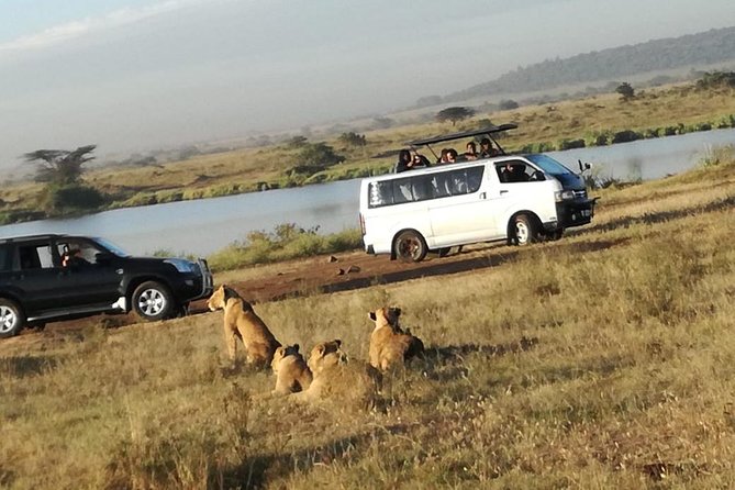 Day TripTour in Nairobi Inclusive of Free Hotel /Apartment Pickup - Pickup Details