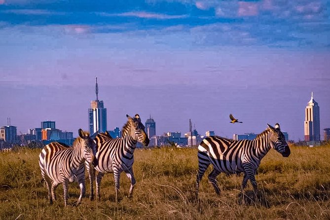 Day TripTour in Nairobi Inclusive of Free Hotel /Apartment Pickup - Booking Confirmation