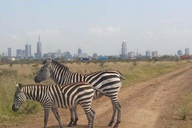 Day TripTour in Nairobi Inclusive of Free Hotel /Apartment Pickup - Logistics and Policies