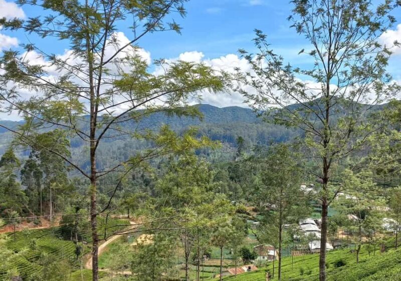 Dayagama: Pekoe Trail Stage 9 & 10 Guided Hike - Who Would Love This Tour?