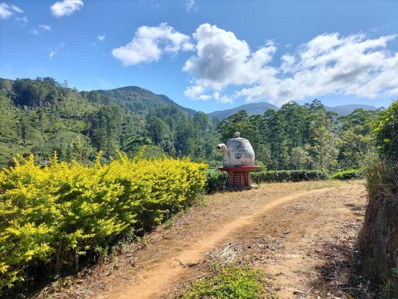 Dayagama: Pekoe Trail Stage 9 & 10 Guided Hike - Who Will Love This Tour?