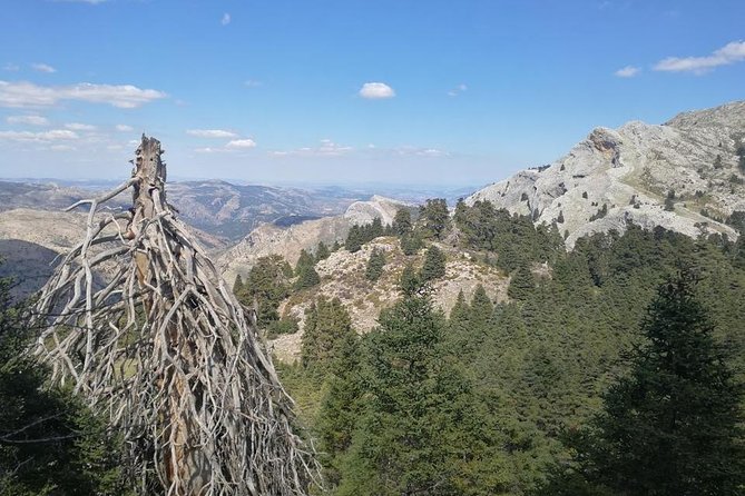 Dayhikes With Pick-Up From Marbella and Estepona - Enjoy a Personalized and Intimate Experience