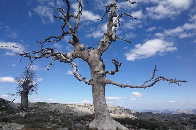 Dayhikes With Pick-Up From Marbella and Estepona - Get Inspired by Stunning Traveler Photos