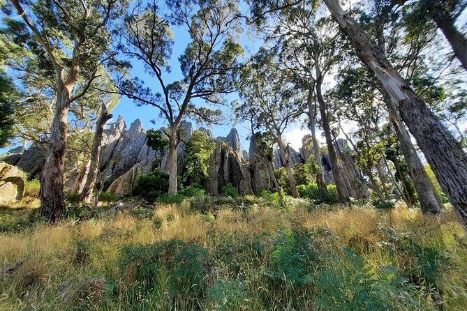 Daylesford Goldfields Track Walking and Wellness Experience - An In-Depth Look at the Daylesford Goldfields Track Walking and Wellness Experience