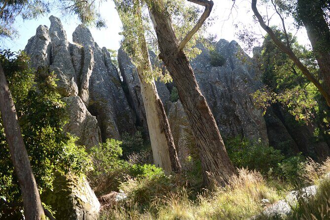 Daylesford Goldfields Track Walking and Wellness Experience - The Sum Up