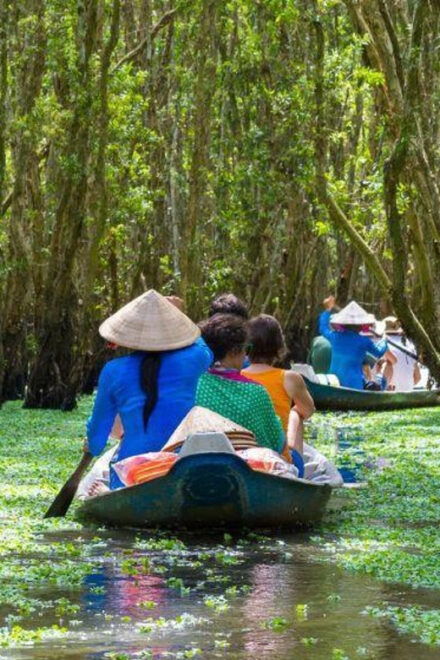 Daylong Discovery of the Delta: Exploring the Mekong - Activities Along the Way