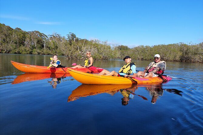 Daytime Kayak Eco Tour of New South Wales - Good To Know