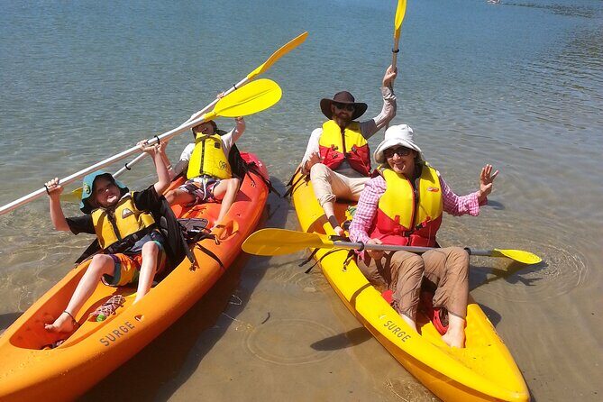 Daytime Kayak Eco Tour of New South Wales - What to Expect on the Tour
