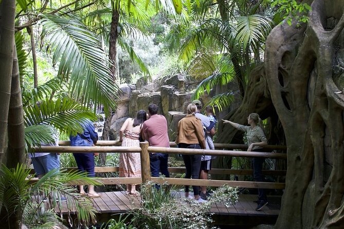 Daytime Scenic Rim Glow Worm Tour Gold Coast Pickup - Pricing and Booking Information