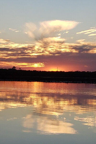 Daytona/New Smyrna Beach: Unforgettable Kayak Wildlife Tours - Wildlife Sightings and Ecosystem
