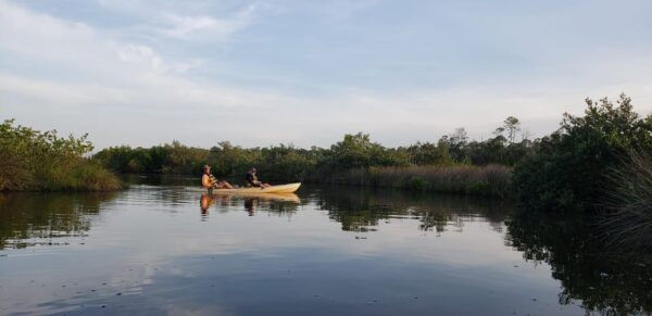 Daytona/New Smyrna Beach: Unforgettable Kayak Wildlife Tours - Tour Duration and Schedule