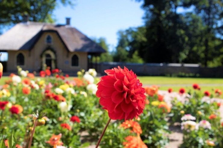 Daytour Keukenhof Castle Flower Garden and Flower Farm - Activity Details