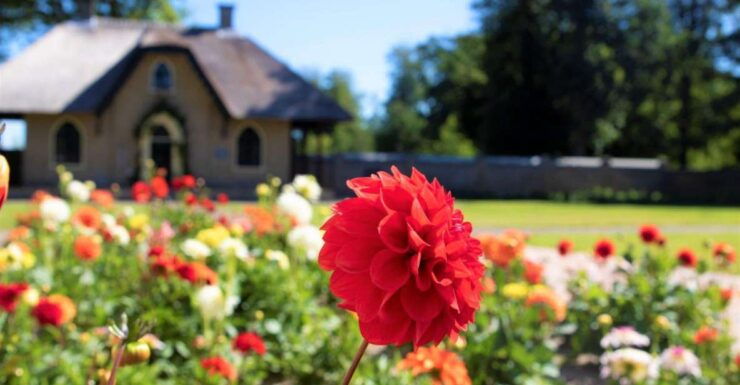 Daytour Keukenhof Castle Flower Garden and Flower Farm - Tour Experience