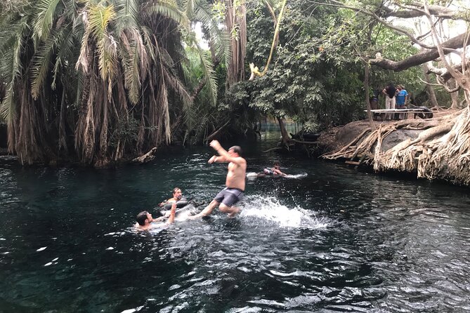 Daytour to Materuni Waterfalls With Coffee & Hotsprings Excursion - Coffee Tour Experience