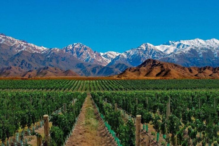 Daytour to Mendoza Wineries - Booking and Cancellation Policy