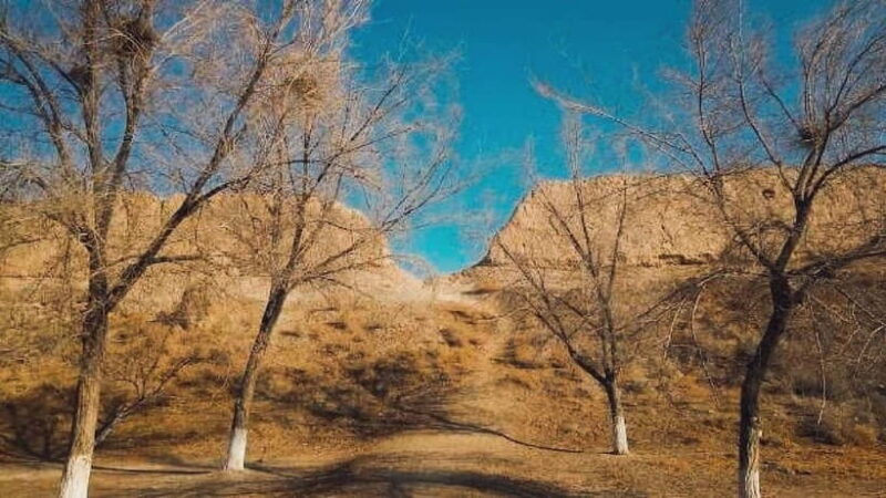 Daytrip from Khiva to Five Ancient Fortresses - Who Is This Tour Best For?