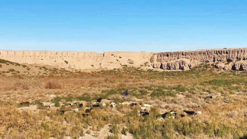 Daytrip from Khiva to Five Ancient Fortresses - Practical Details and What to Expect